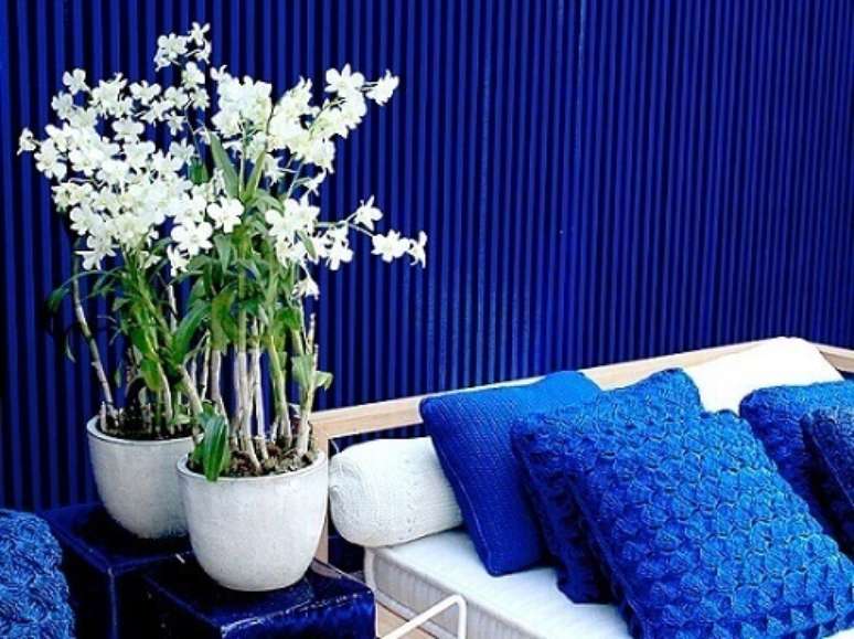 2- As orqu&iacute;deas s&atilde;o plantas ornamentais ideais para a decora&ccedil;&atilde;o em ambientes internos.