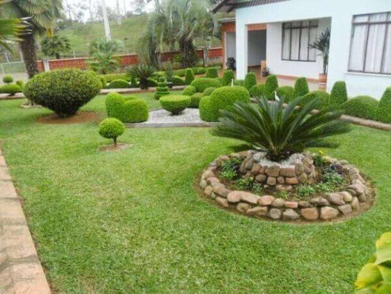 36 &ndash; Plantas ornamentais para jardim.