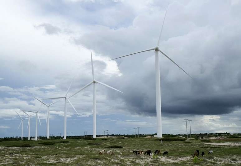 Turbinas eólicas em Paracuru, Ceará, Brasil
24/04/2009
REUTERS/Stuart Grudgings