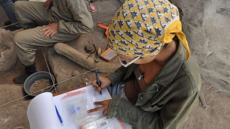 As escava&ccedil;&otilde;es realizadas at&eacute; agora j&aacute; revelaram v&aacute;rios aspectos dos grupos, desconhecidos at&eacute; agora