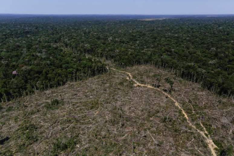 Visão aérea de área desmatada em Apuí, Amazonas  27/07/2017 REUTERS/Bruno Kelly