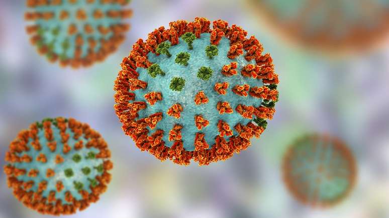 Vírus influenza se divide em várias famílias