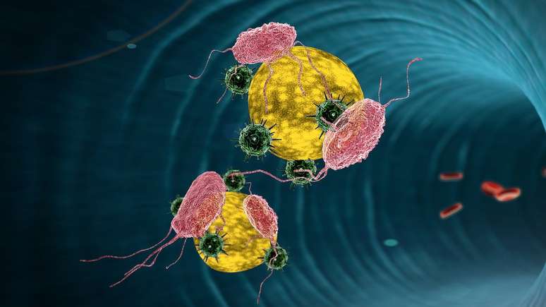 A nova droga testada em camundongos impede as células cancerígenas de se esconderem dos macrófagos