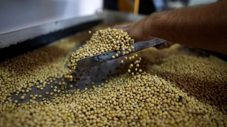 Guerra comercial pode elevar demanda externa pela soja brasileira