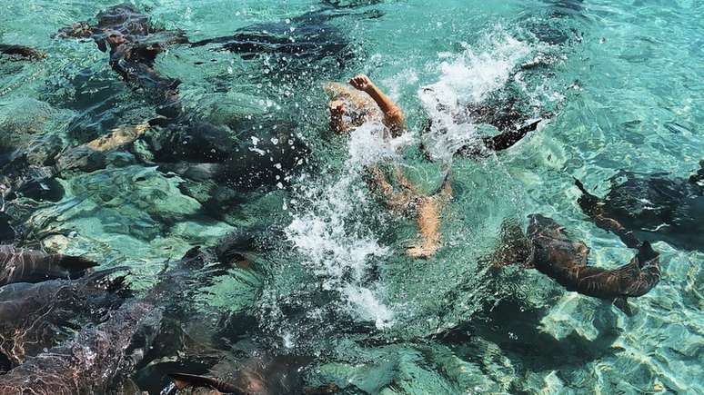 Katarina luta na água para se soltar do tubarão