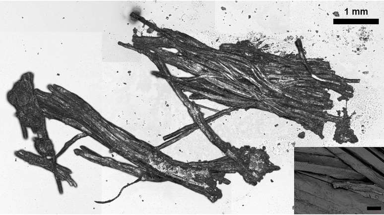 Análise do tecido da múmia permitiu descobrir os detalhes da última refeição de Ötzi