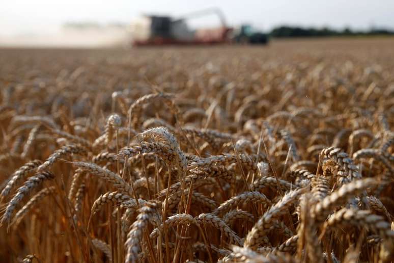Colheita de trigo em Marquion, perto de Cambrai, França
18/07/2017
REUTERS/Pascal Rossignol