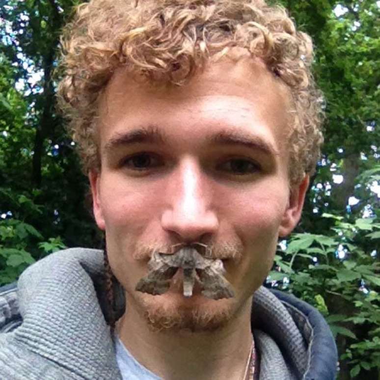 'Nossa investiga&ccedil;&atilde;o d&aacute; mais peso &agrave; ideia de que a homossexualidade (entre os insetos) &eacute; resultado de uma capacidade limitada em reconhecer o outro sexo, embora n&atilde;o saibamos por que isso ocorre', diz Sales