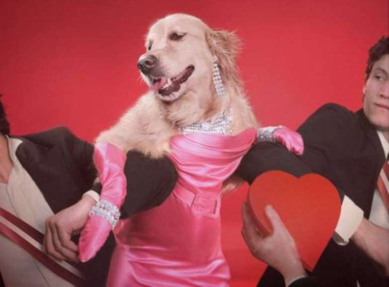 O cãozinho Max foi fotografado em releituras de fotos icônicas de Madonna. Nesta imagem, ele recria cena de 'Material Girl', clipe de 1984.