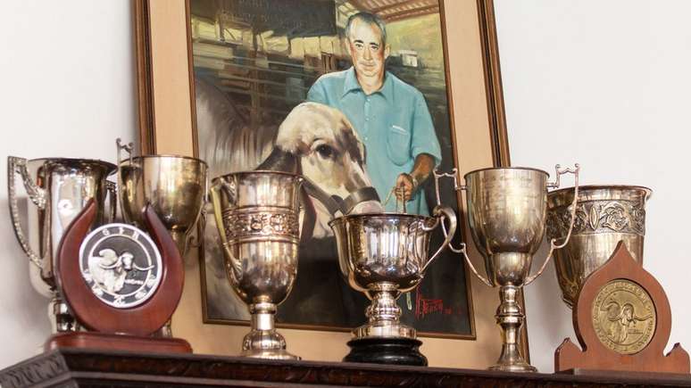 Cid quebrou dom&iacute;nio de pecuaristas do mineiros, reabrindo o Brasil a importa&ccedil;&otilde;es de gado indiano