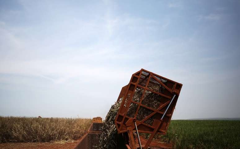 Caminh&atilde;o &eacute; carregado com cana-de-a&ccedil;&uacute;car em Ribeir&atilde;o Preto, S&atilde;o Paulo 15/09/2016 REUTERS/Nacho Doce