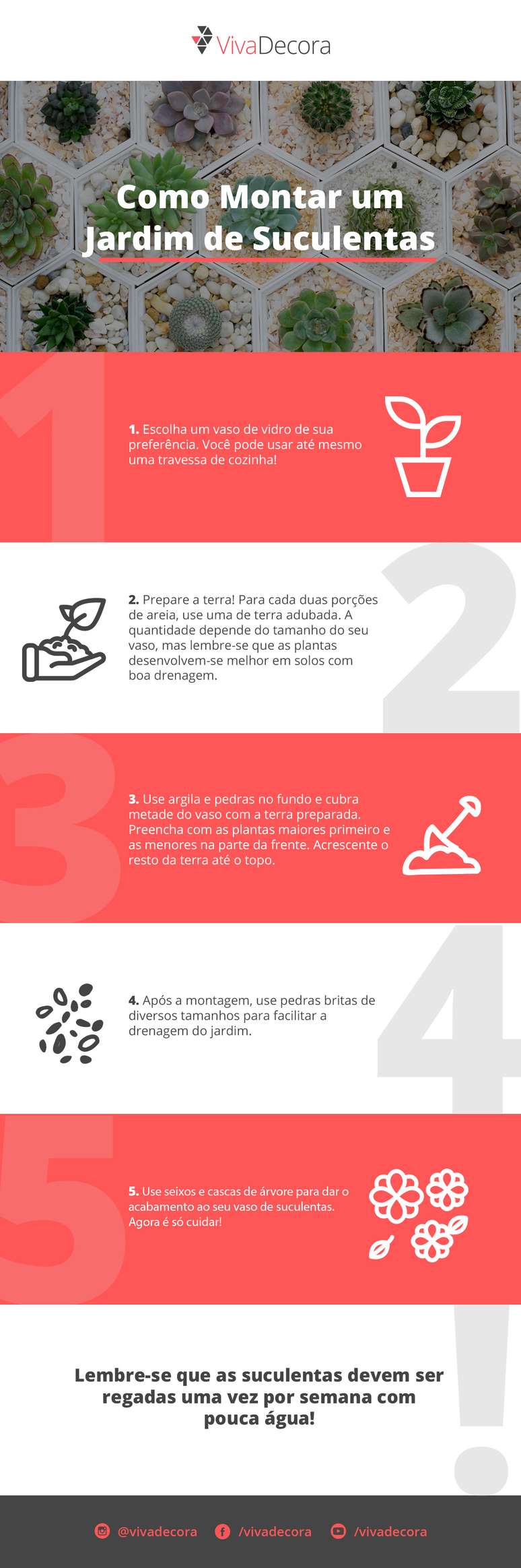 Infográfico – Como montar um jardim de suculentas