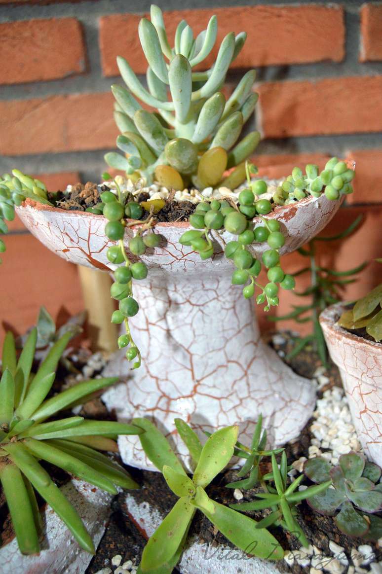 51. Um vaso quebrado ainda pode ficar charmoso na decora&ccedil;&atilde;o. Projeto por Vital Paisagismo