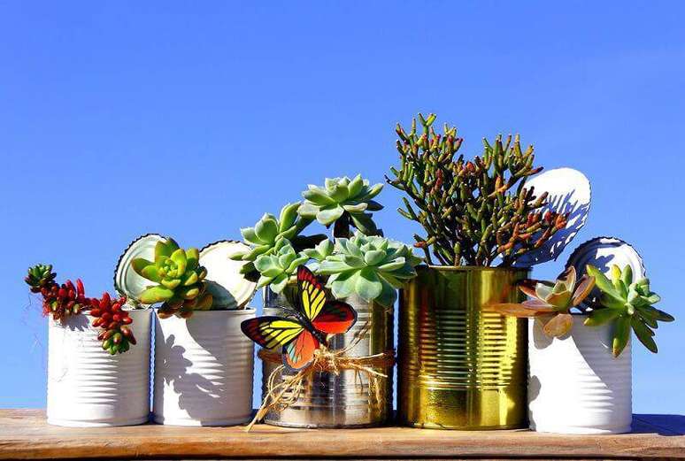 47 Ao utilizar as latas de alumínio cuidado para não esquentar muito suas plantinhas