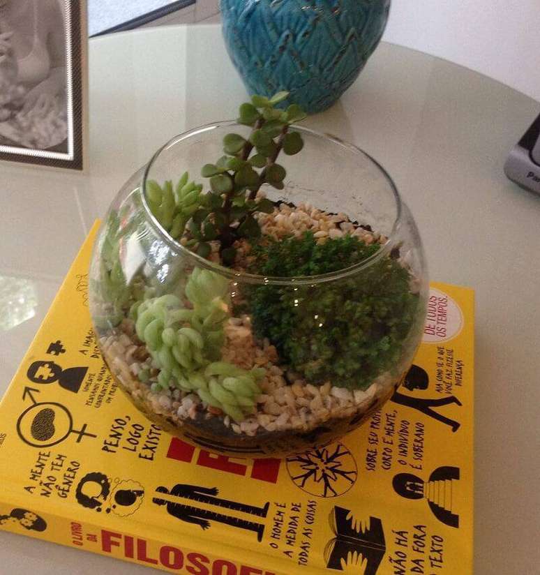 4. Uma das formas mais bonitas de se plantar as suculentas &eacute; em terr&aacute;rios de vidro.
