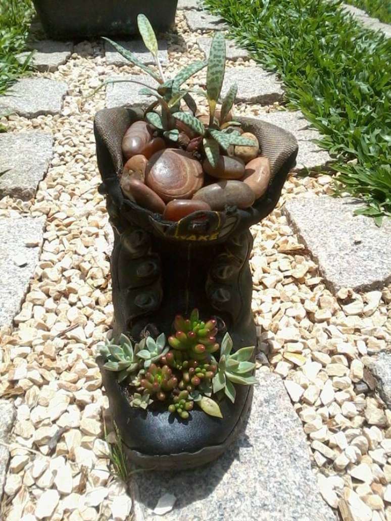 5. As suculentas precisam de sol para se manterem saud&aacute;veis.