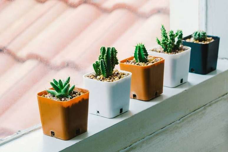 36.Voc&ecirc; pode criar um mix de cores neutras para dar um toque de sofistica&ccedil;&atilde;o &agrave; suas plantas suculentas