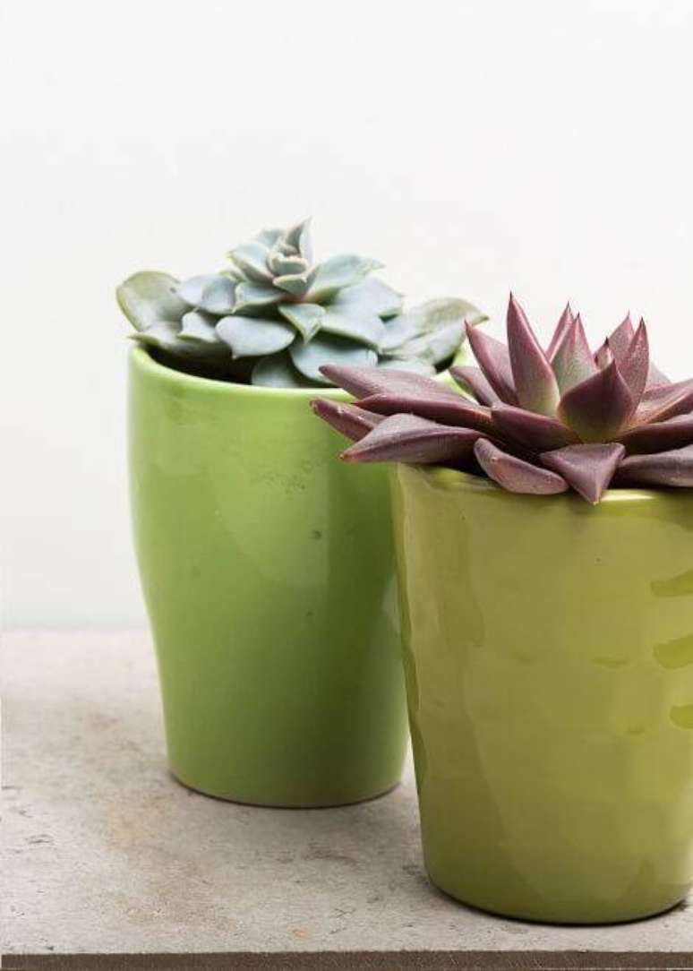 20. Vasinhos com suculentas podem ser o charme na sua decora&ccedil;&atilde;o