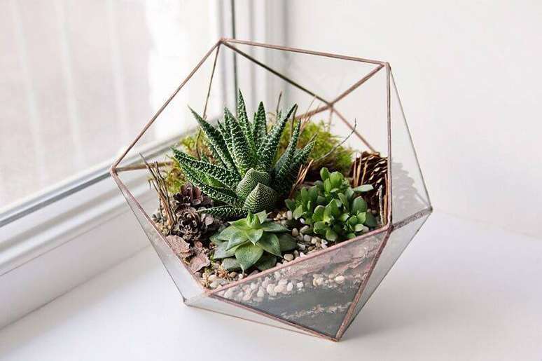 28.Vaso geom&eacute;trico &eacute; perfeito para abrigar suas plantinhas suculentas