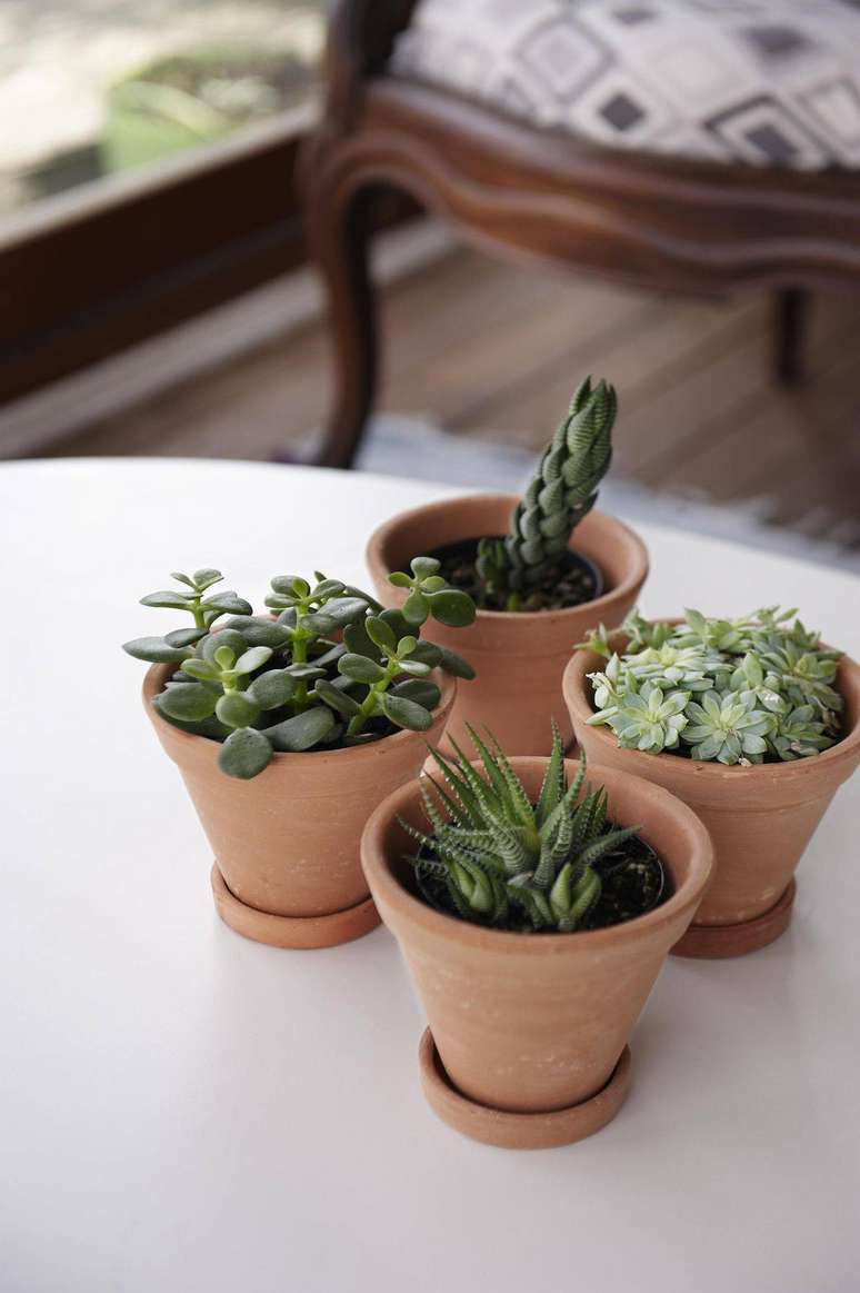26. Vasinhos cer&acirc;micos s&atilde;o um charme para plantas suculentas. Projeto por Buji