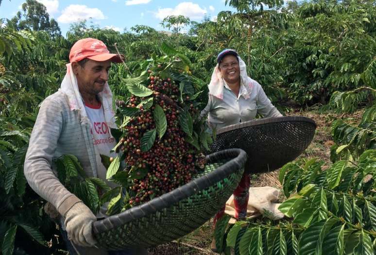 Trabalhadores colhem caf&eacute; em S&atilde;o Gabriel da Palha, Esp&iacute;rito Santo 02/04/2018 REUTERS/Jose Roberto Gomes