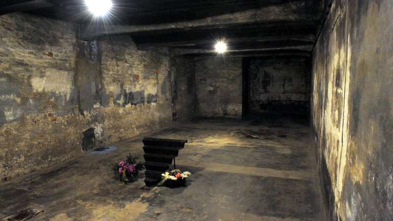 Aqueles que negam o Holocausto afirmam que os edif&iacute;cios identificados como "c&acirc;maras de g&aacute;s" de exterm&iacute;nio em massa n&atilde;o tinham essa fun&ccedil;&atilde;o