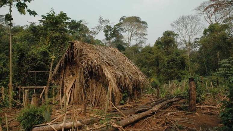 Uma cabana de palha chamada de "macolca", que o índio do buraco construiu e depois abandonou (fotografia de 2005, cedida pela Survival International)