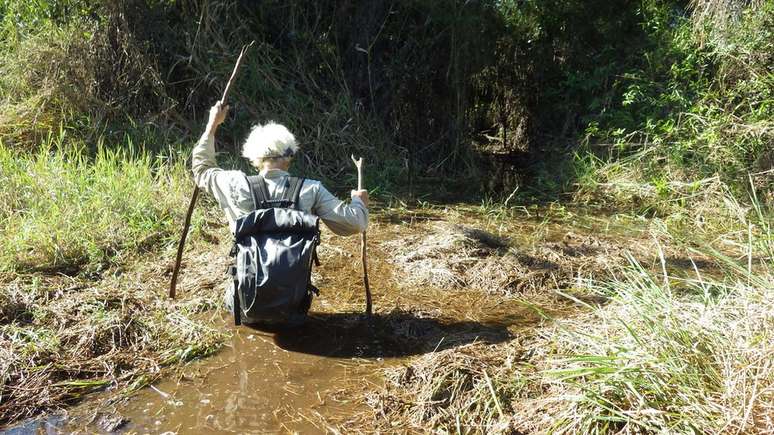 Pesquisadores da Universidade de Exeter em pesquisa na Amazônia - instituição já publicou outros estudos sobre o tema