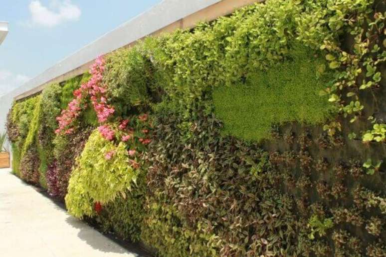 30- Modelo de muro de casa com jardim vertical.