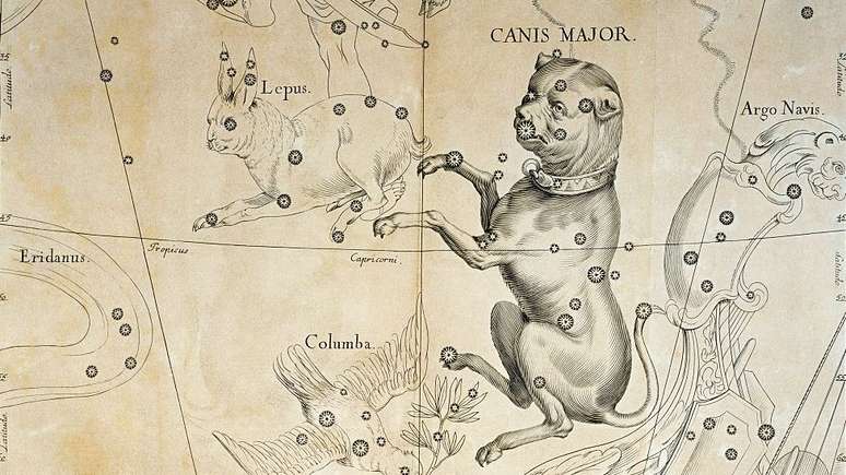 A can&iacute;cula tem esse nome por causa da constela&ccedil;&atilde;o C&atilde;o Maior