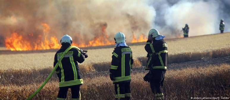 Especialistas apontam ligação entre aquecimento global e incêndios florestais 