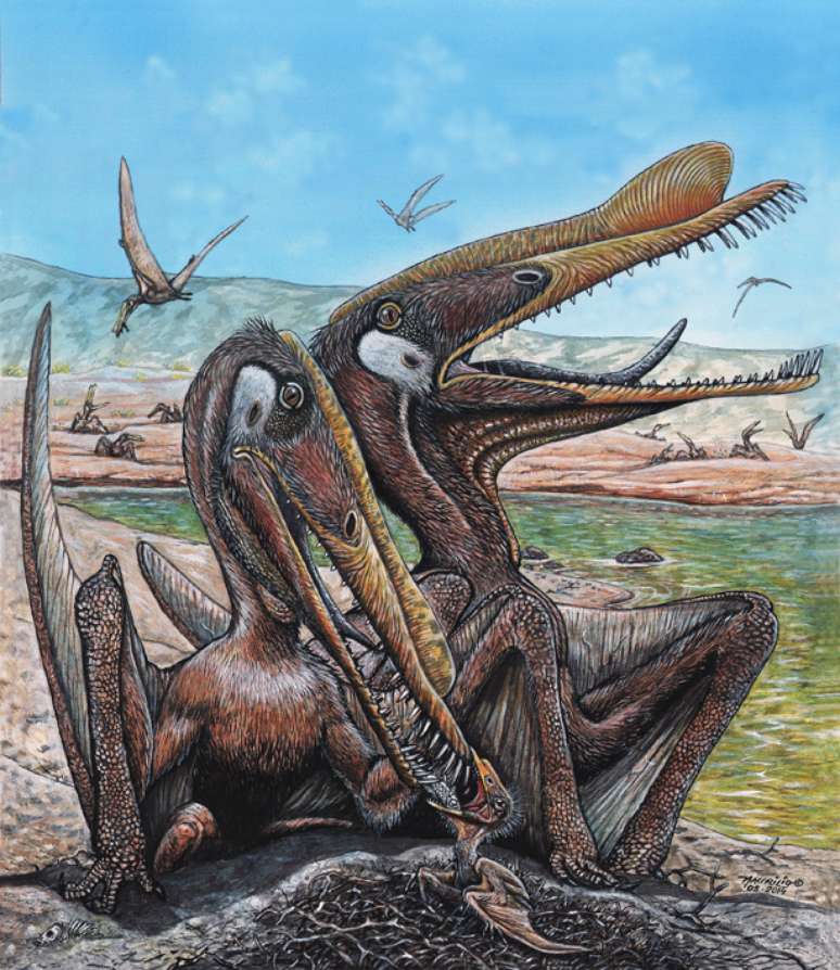 Os pterossauros - répteis voadores, parentes dos dinossauros - viveram há 80 milhões de anos