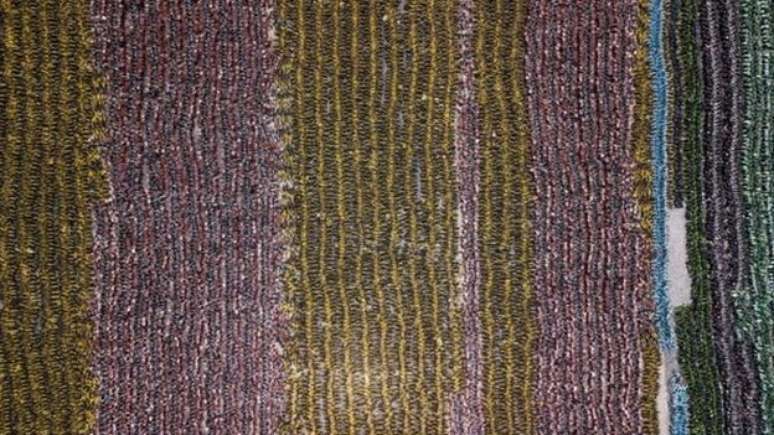 Imagens de cemit&eacute;rios de bicicletas compartilhadas na China impressionam