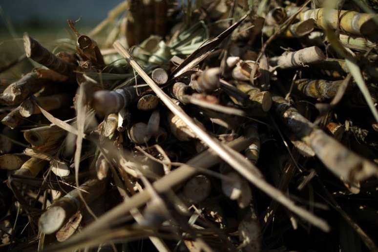 Pilha de cana-de-açúcar em plantação 
28/04/2018
REUTERS/Andres Martinez Casares