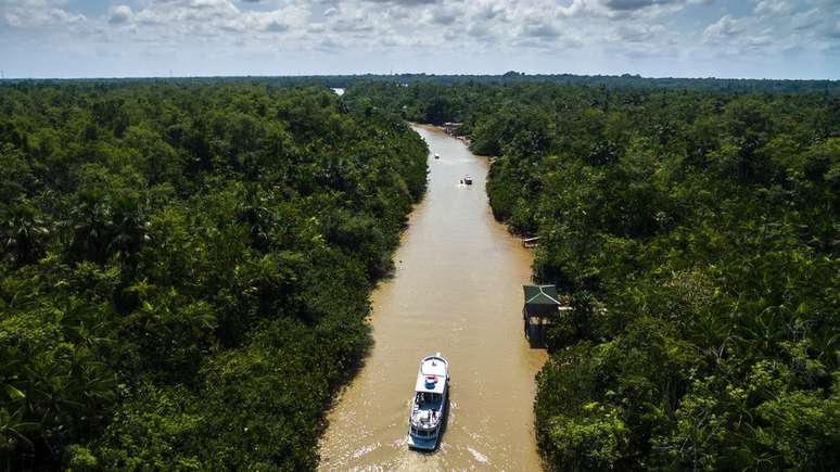 Senador justifica projeto com casos de distritos no Pará a centenas de quilômetros de distância de suas sedes