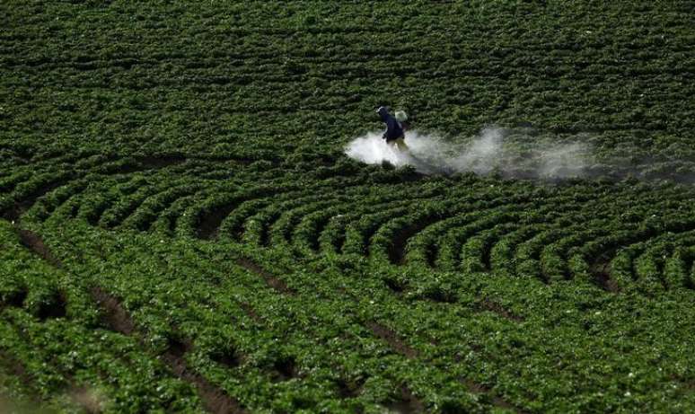 Agricultor pulveriza agroquímicos em plantação 
27/04/2018
REUTERS/Juan Carlos Ulate