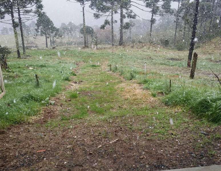 Neveu na serra catarinense durante a quinta-feira, 9 de agosto