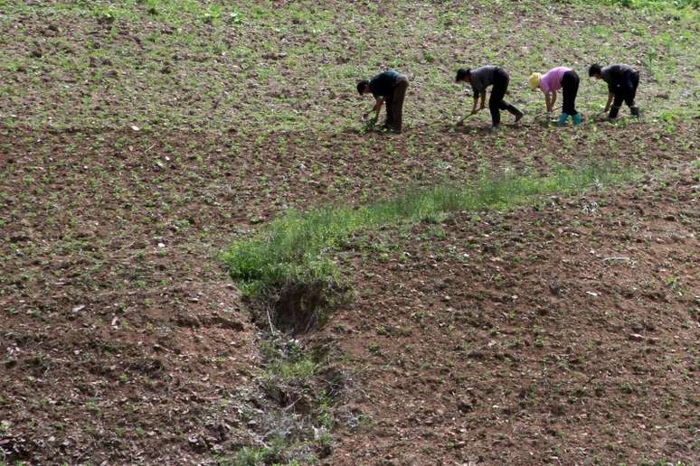 Fazenda em província norte-coreana de Phyongan do Norte 20/06/2015 REUTERS/Jacky Chen