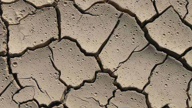 Fabricantes de perfume tentam replicar o cheiro da chuva em seus produtos