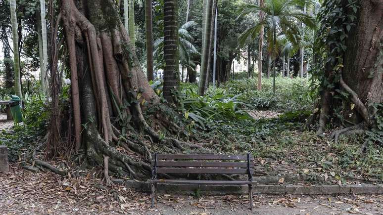 A ONG Mulheres da Luz atende cerca de 140 pessoas que trabalham como prostitutas no parque