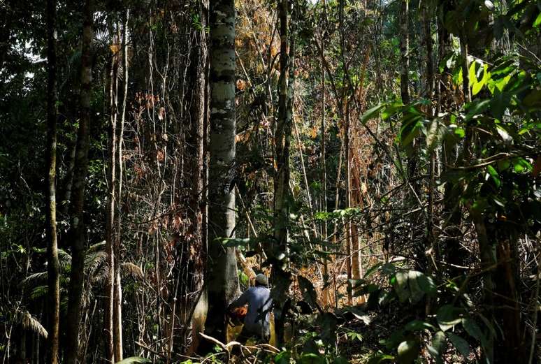 Homem corta árvore na Floresta Amazônica perto de Itaituba
 7/8/2017    REUTERS/Nacho Doce 