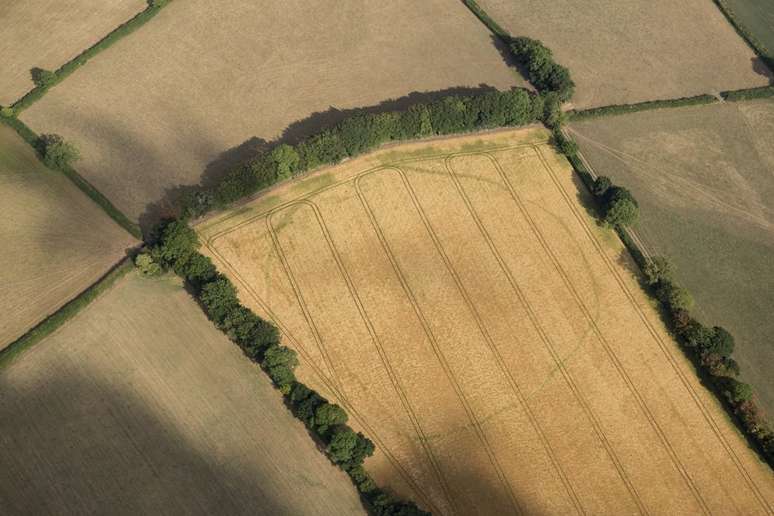 Uma &aacute;rea cercada antiga em Churchstanton, tamb&eacute;m em Somerset