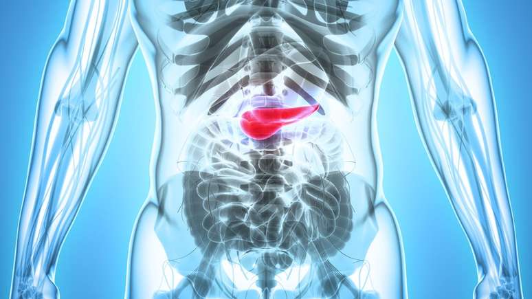 No Brasil, o câncer de pâncreas representa 2% dos casos de câncer