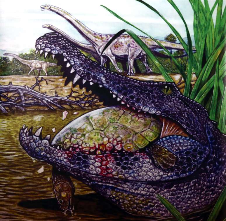 Ilustração de como seria o crocodilo pré-histórico descoberto por pesquisadores da Universidade Estadual do Rio de Janeiro (UERJ)