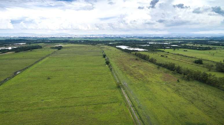 Vista aérea do interior do Brasil: terras no país e em outros da América Latina foram compradas por Harvard