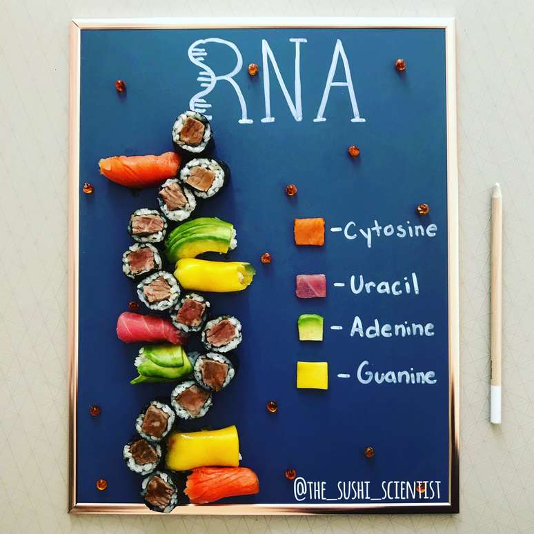 As prote&iacute;nas que formam o RNA - citosina, uracilo, adenina e guanina - s&atilde;o representadas pelo salm&atilde;o, pelo atum, pelo abacate e pela manga