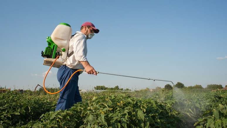 A Bayer, dona da Monsanto, diz que o glifosato não é cancerígeno