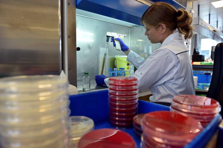 Cientista trabalha na Universidade de Gent, na Bélgica 23/08/2018 REUTERS/Eric Vidal 