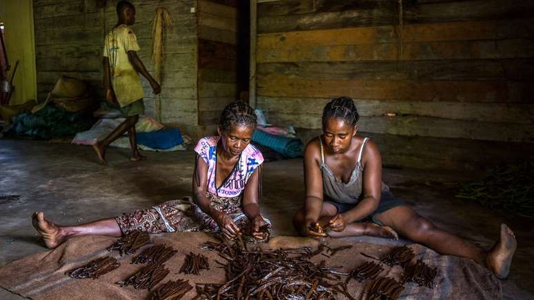O preço do quilo da baunilha disparou nos últimos cinco anos em Madagascar e hoje se situa na casa dos R$ 2 mil