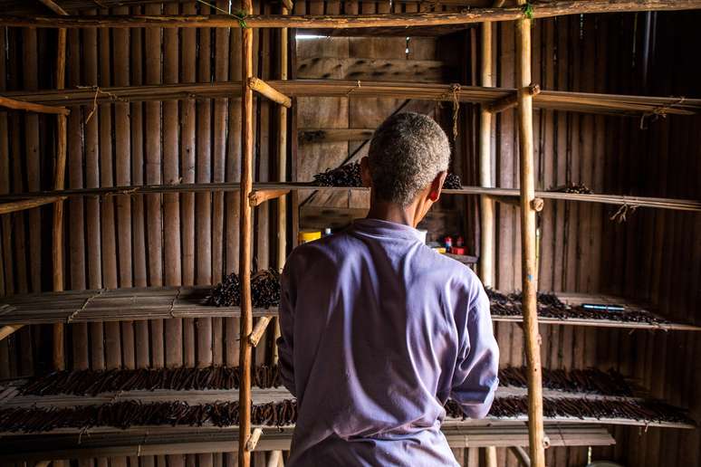 Em Madagascar, os altos preços da baunilha significam que uma boa safra pode representar uma mudança de vida
